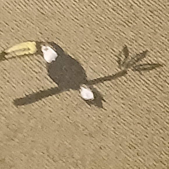 Joe Fresh toucan shorts - Picture 3 of 5